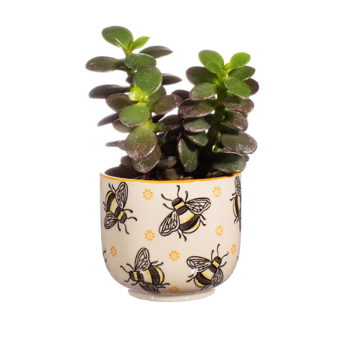 Busy Bees Small Planter