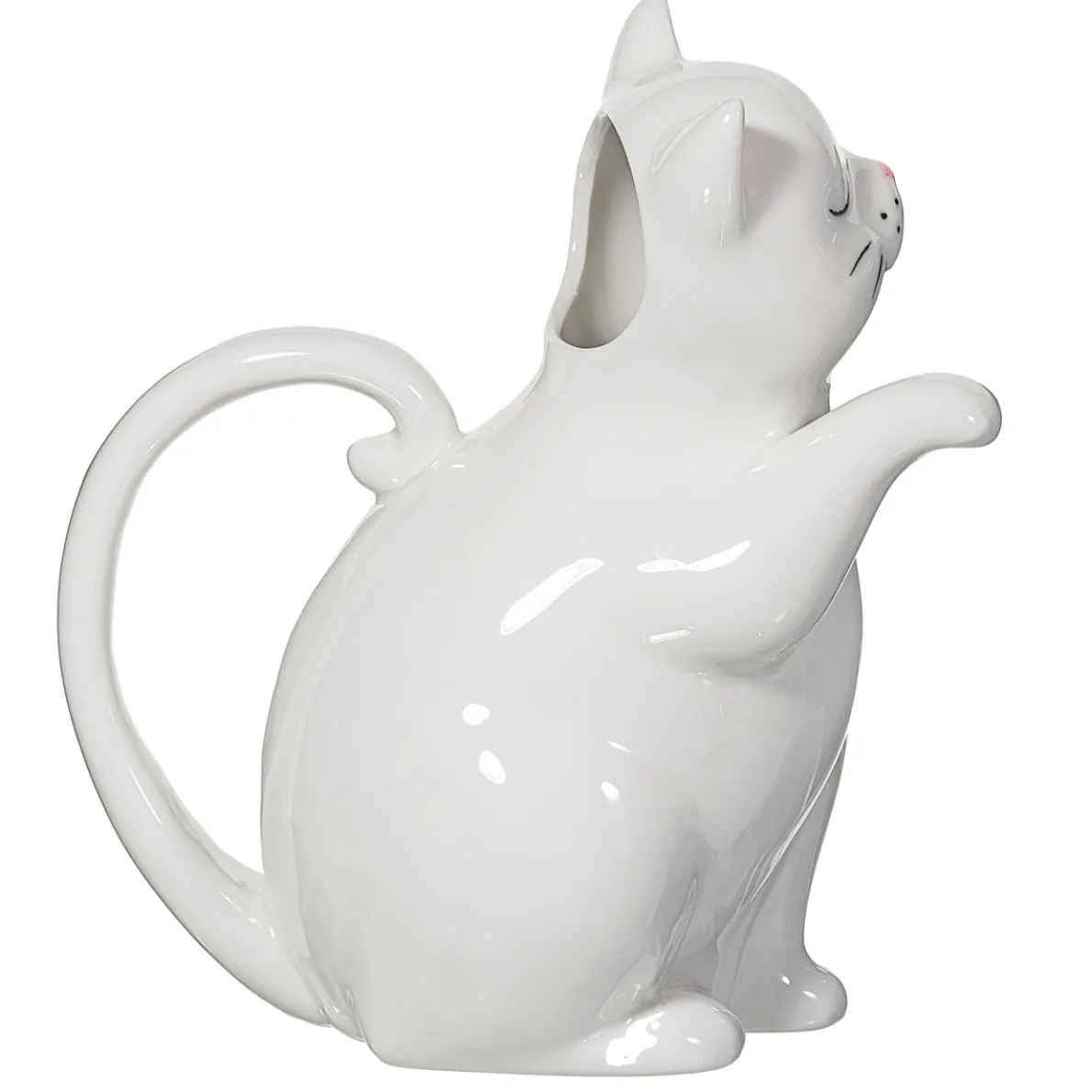 Cat Watering Can
