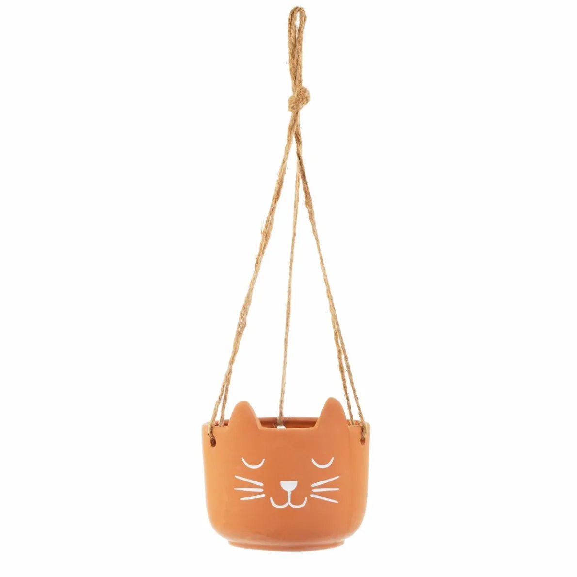 Cat's Whiskers Terracotta Hanging Planter