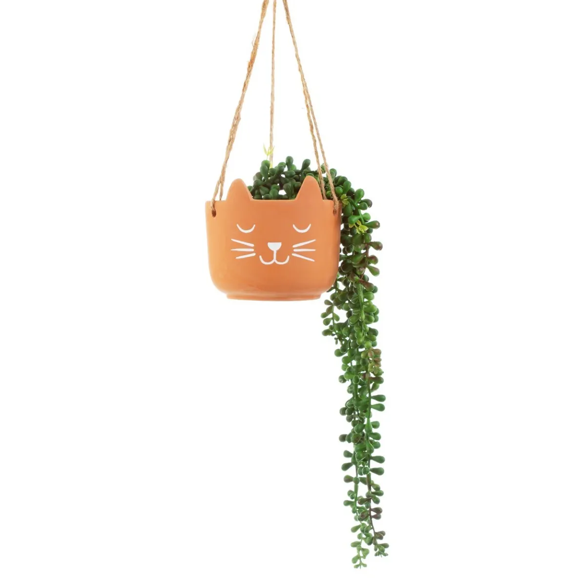 Cat's Whiskers Terracotta Hanging Planter