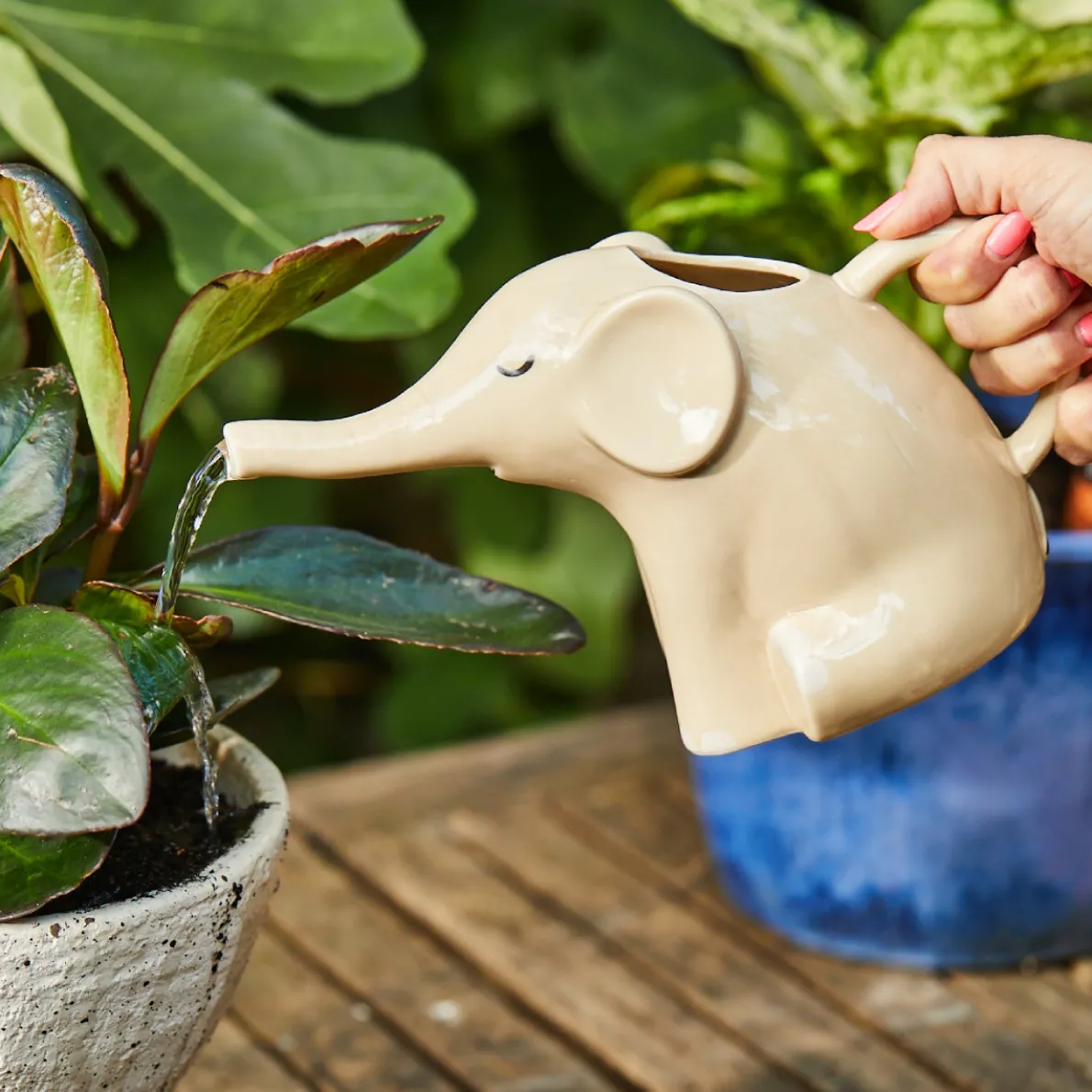 Elephant Watering Can