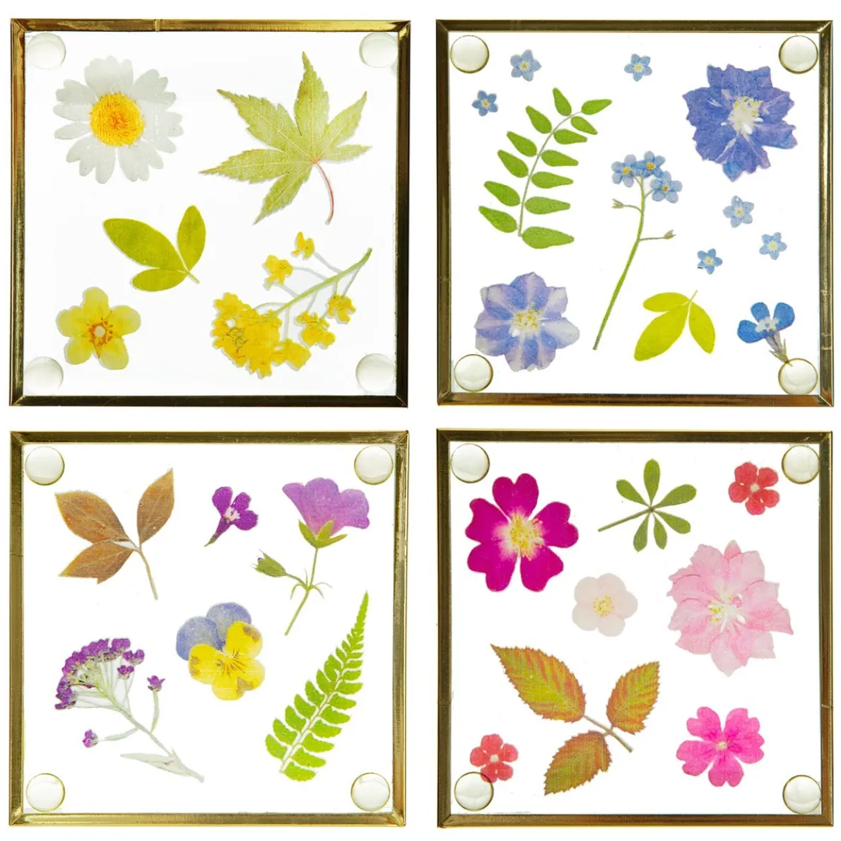 Flower Print Glass Coasters