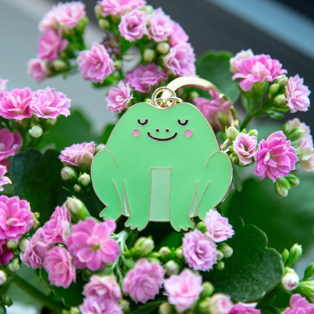 Frog Enamel Keyring