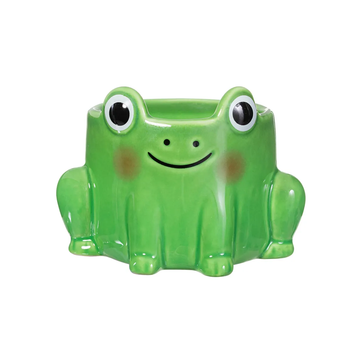 Frog Mini Planter