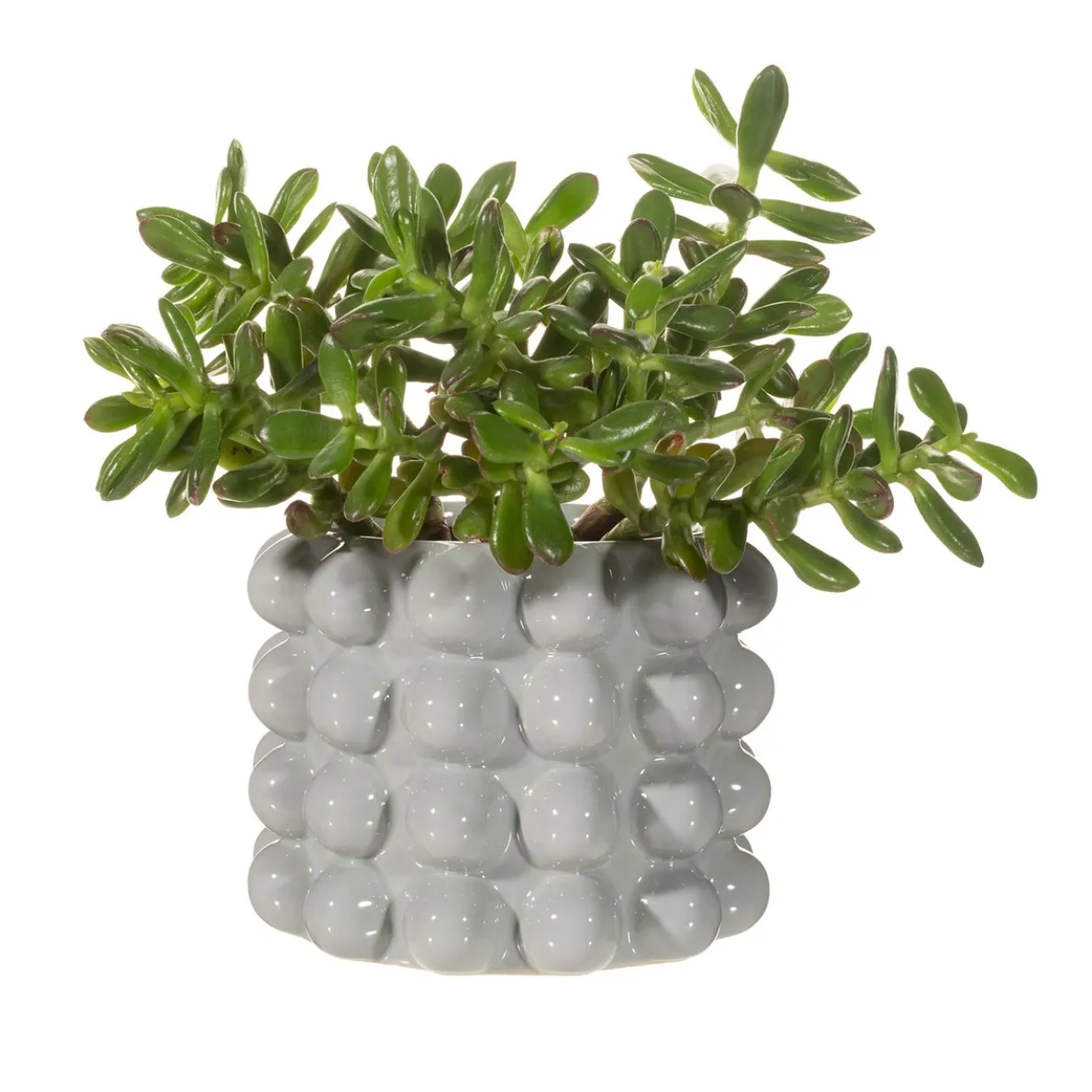Grey Bobble Planter