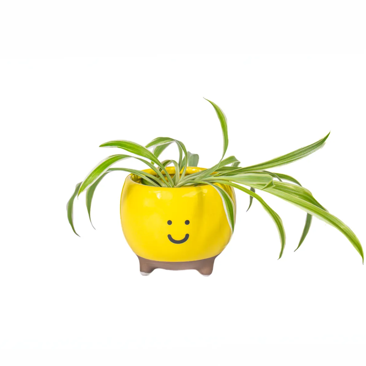 Happy Planter