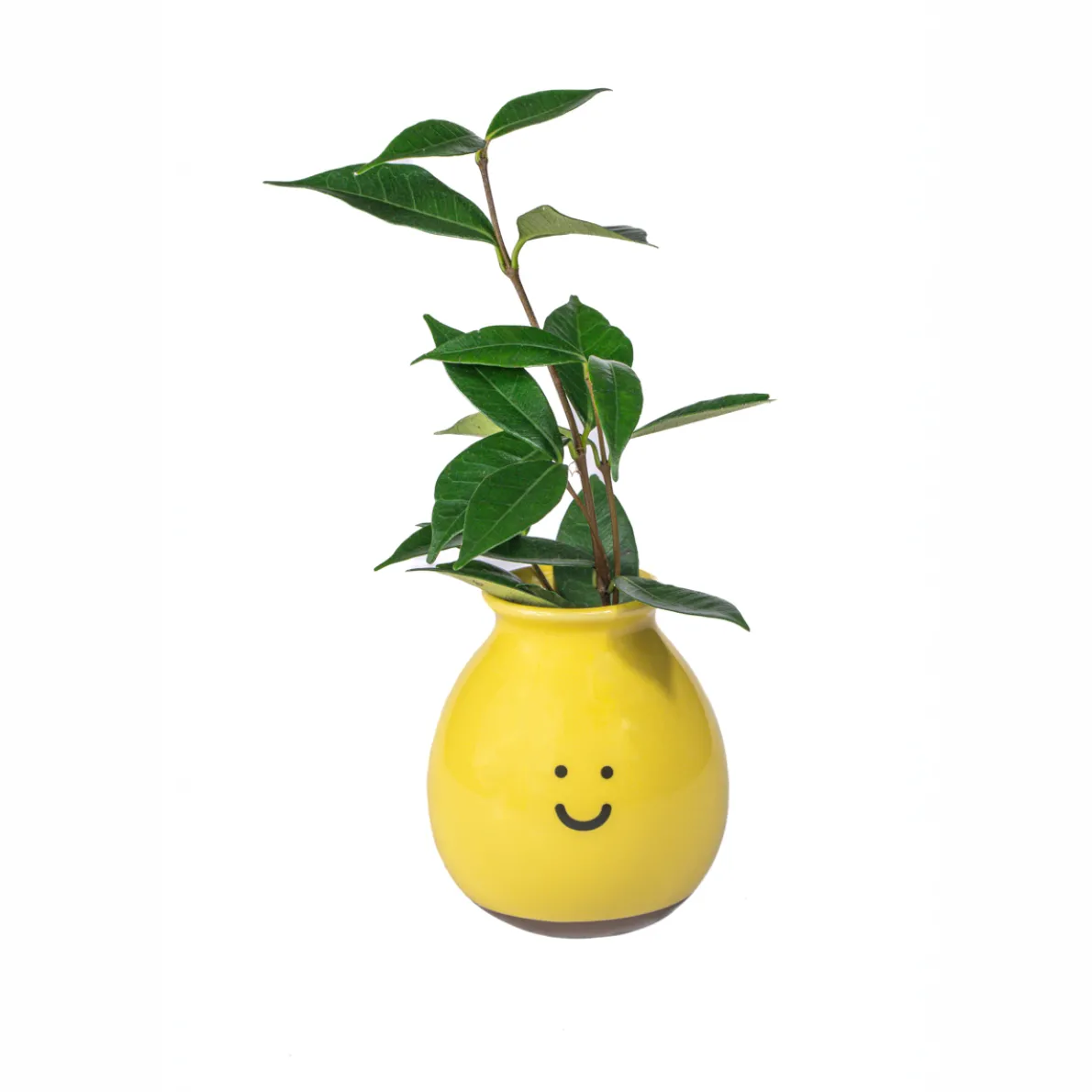 Happy Vase