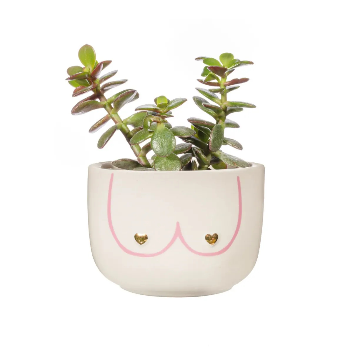 Large Girl Power Boobies White Planter