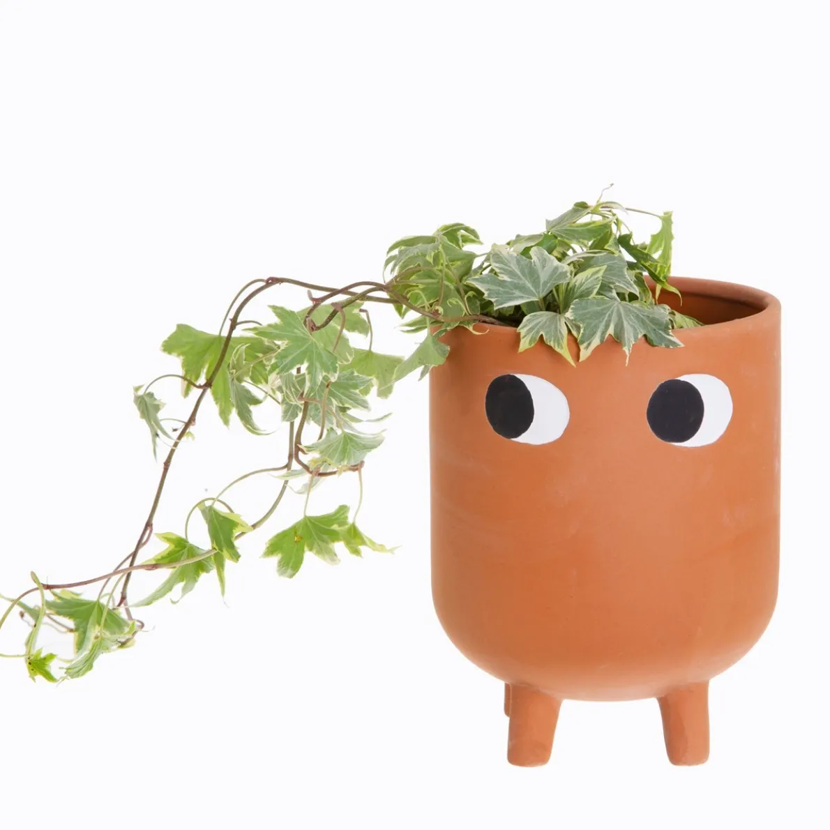 Leggy Terracotta Planter