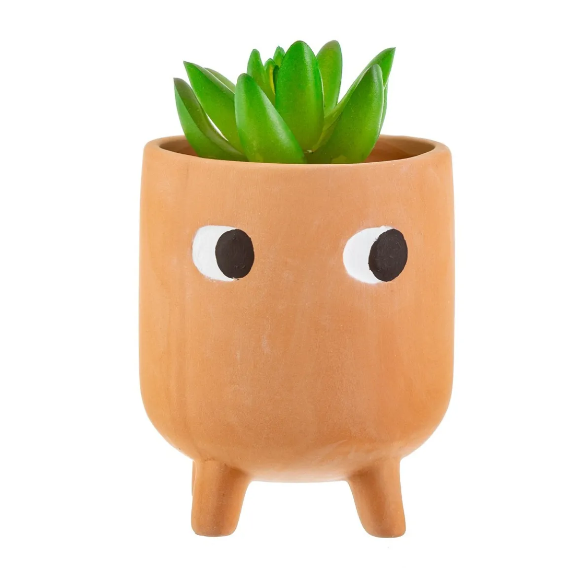 Little Leggy Terracotta Planter