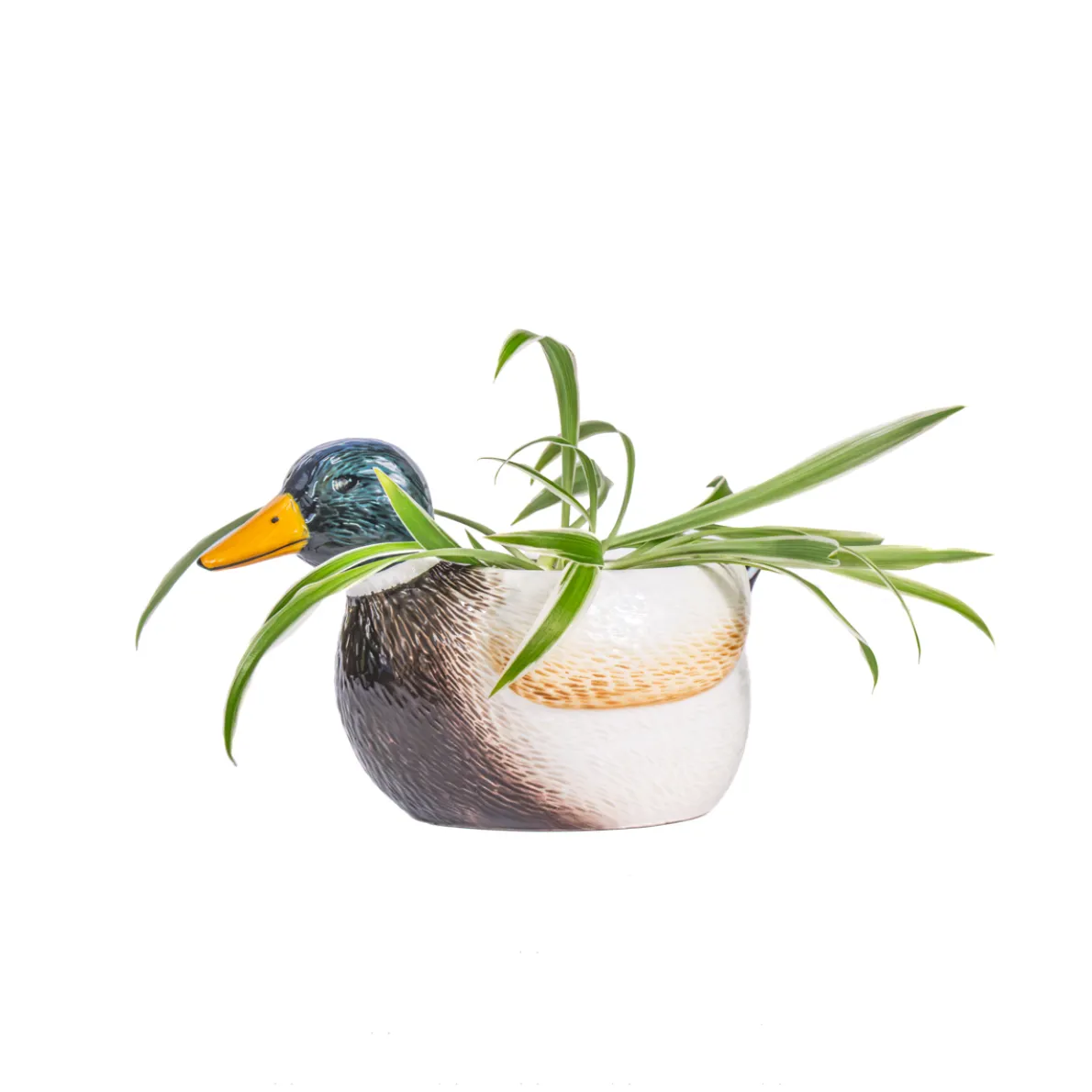 Mallard Duck Mini Planter