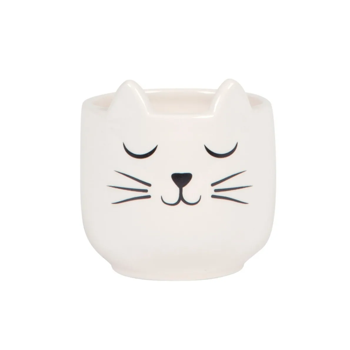 Mini Cat's Whiskers White Planter