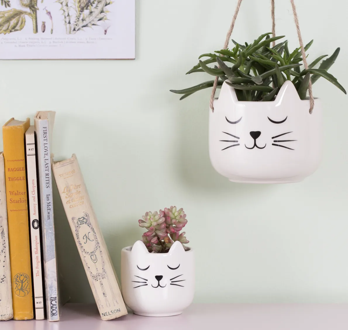 Mini Cat's Whiskers White Planter