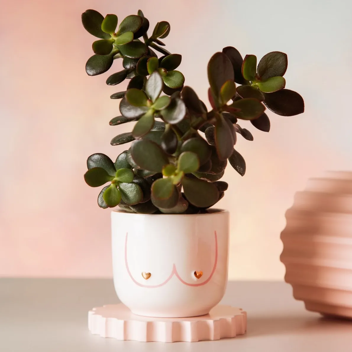 Mini Girl Power Boobies White Planter