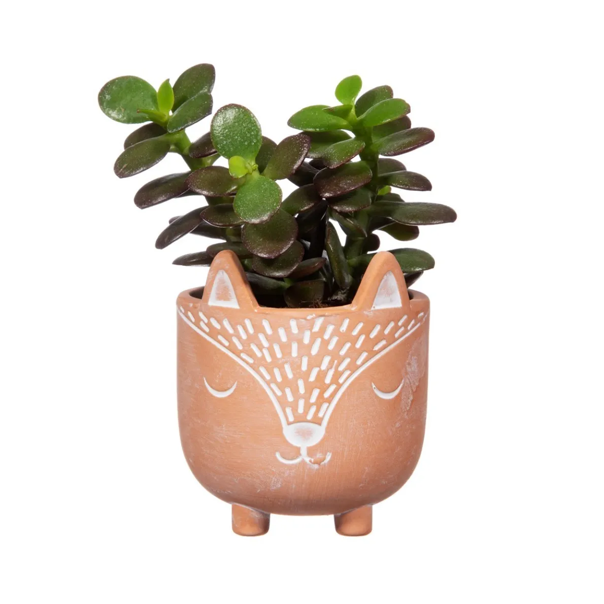 Mini Woodland Fox Terracotta Planter