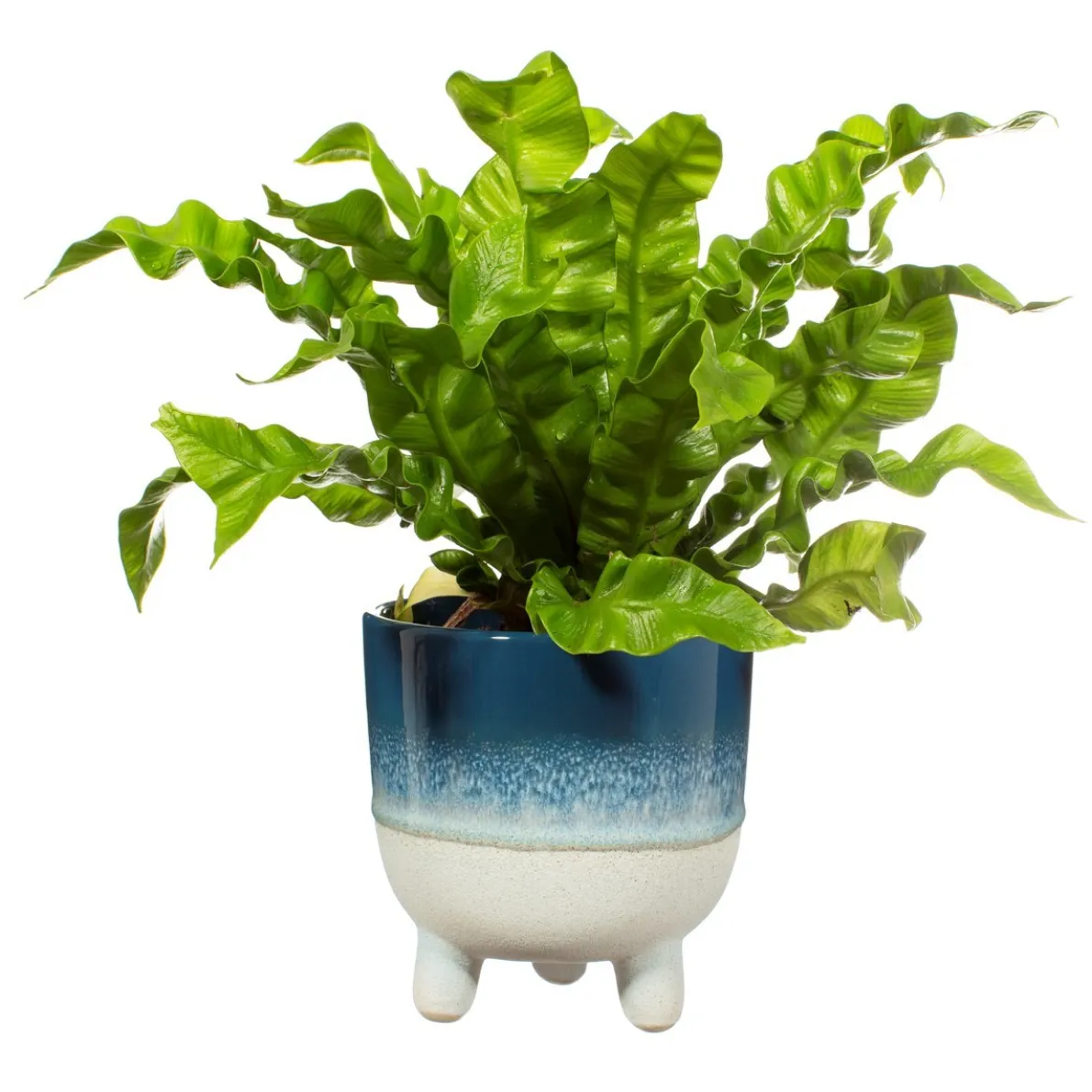 Mojave Glaze Blue Large Planter on Legs