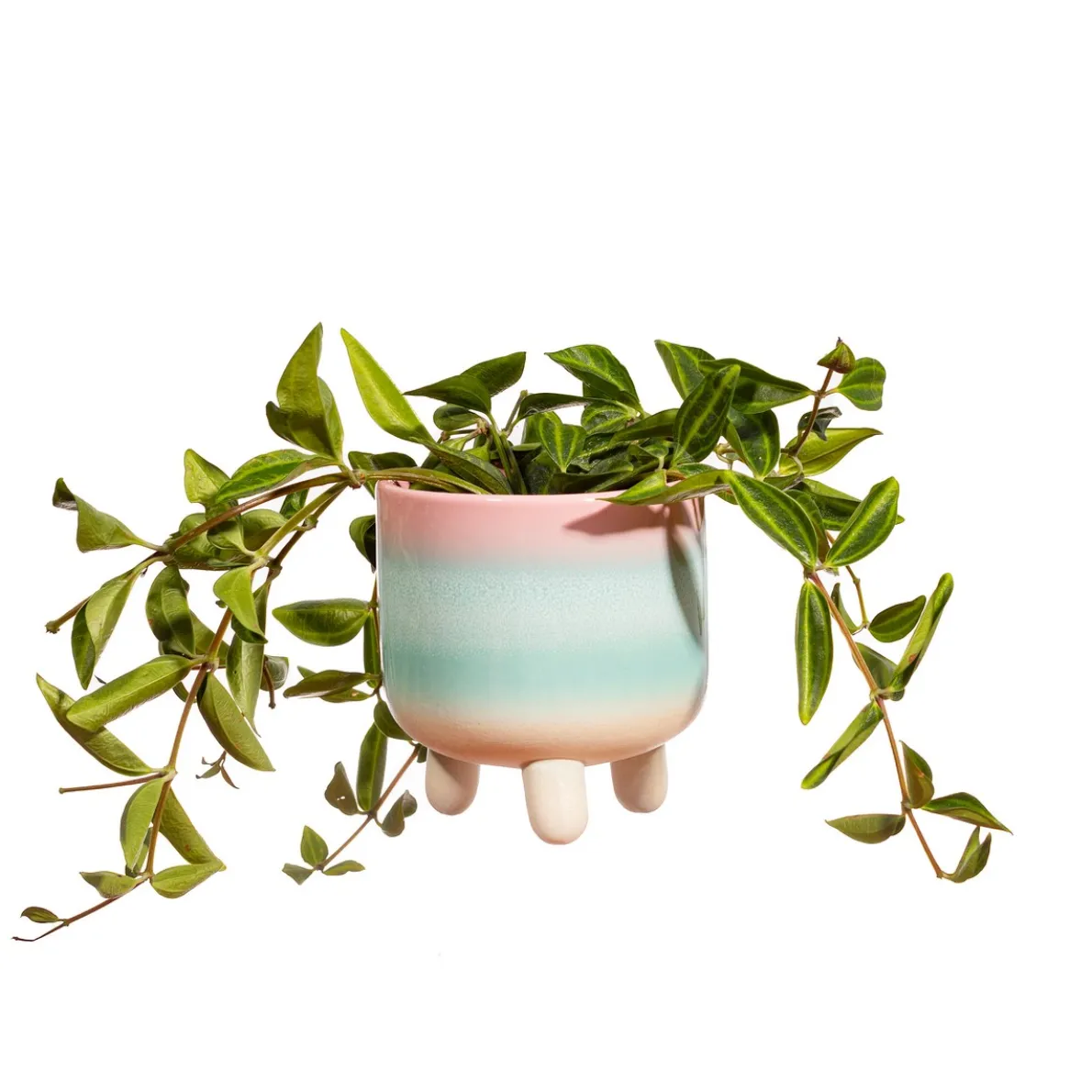 Pastel Ombre Leggy Planter Small