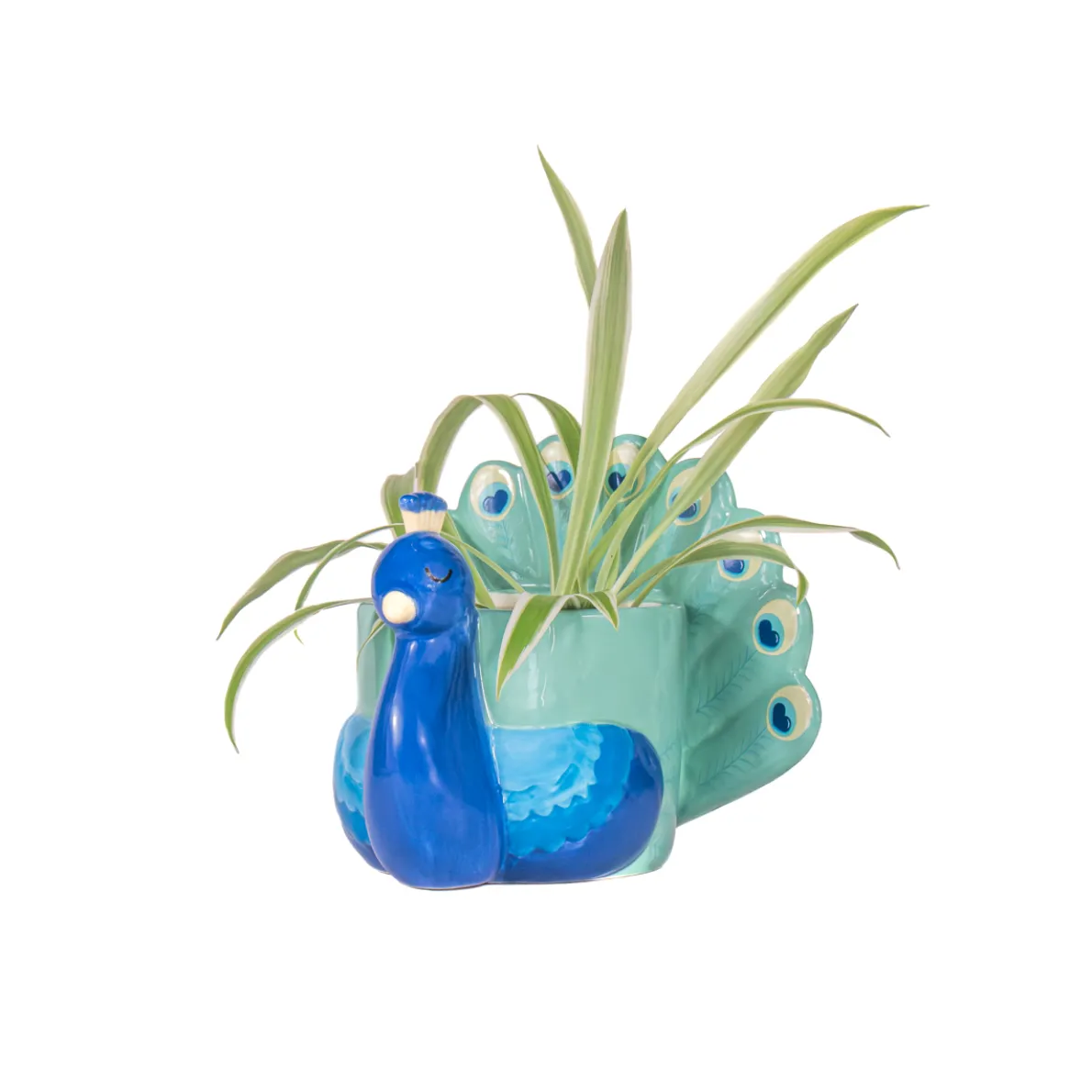 Peacock Mini Planter