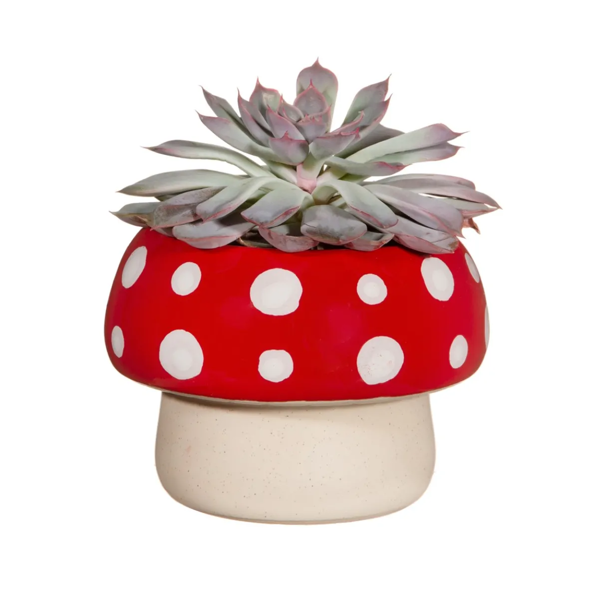 Red Mushroom Large Planter