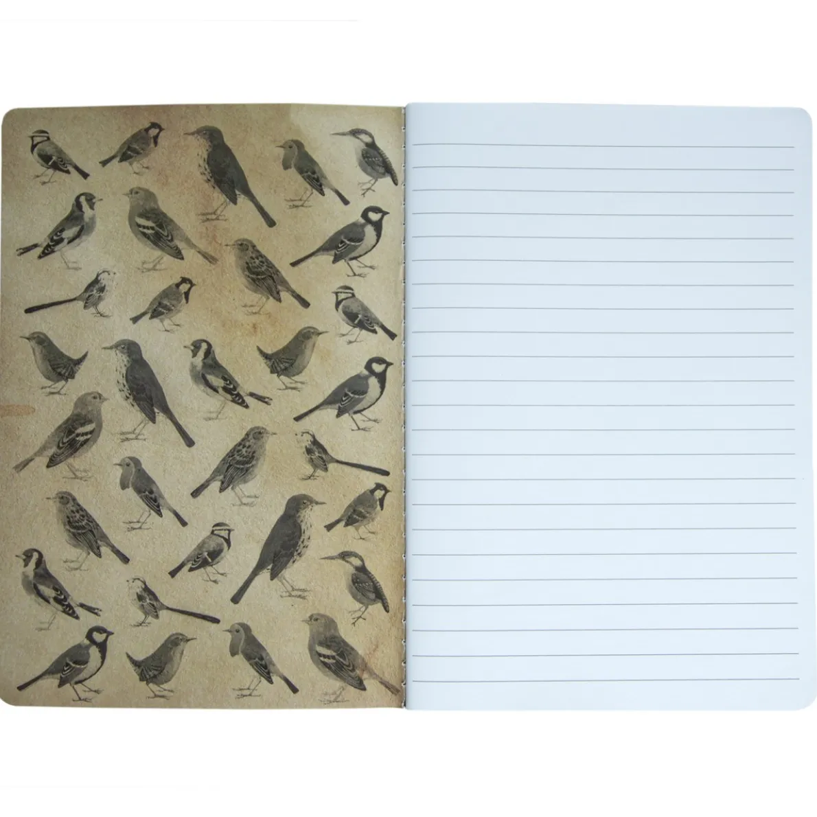 Vintage Birds A5 Notebook