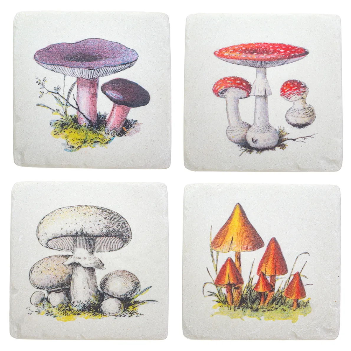 Vintage Mushroom Coasters - Set of 4