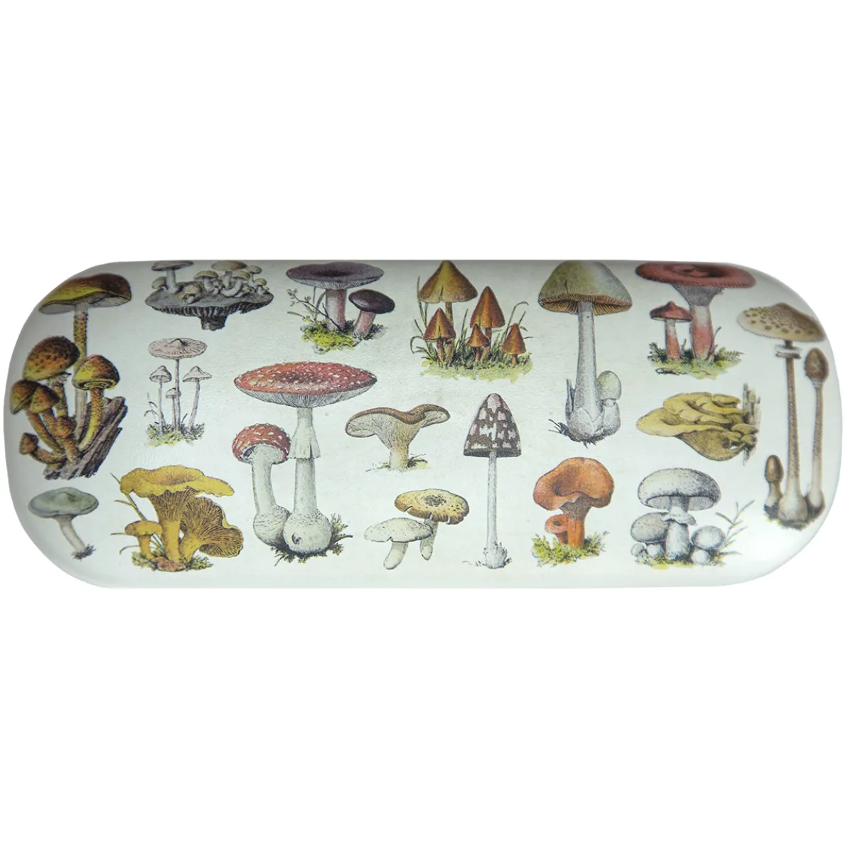 Vintage Mushroom Glasses Case