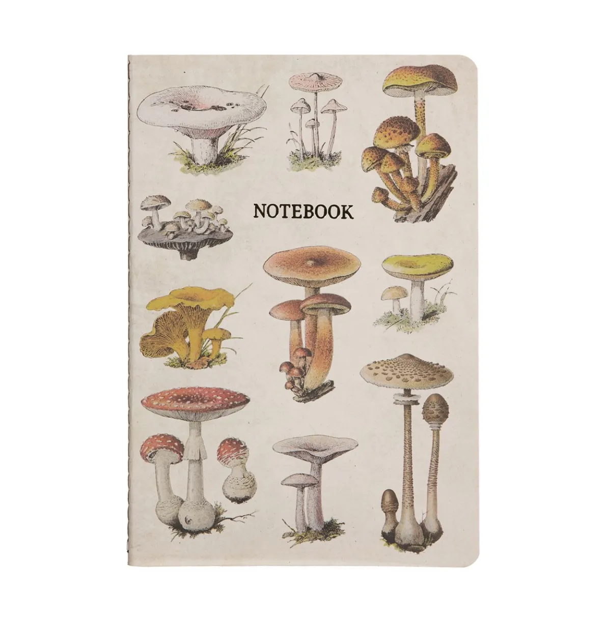 Vintage Mushrooms A5 Notebook