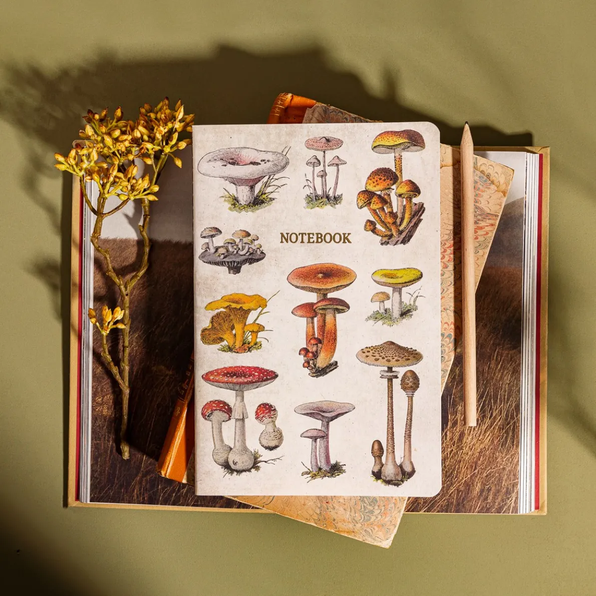 Vintage Mushrooms A5 Notebook